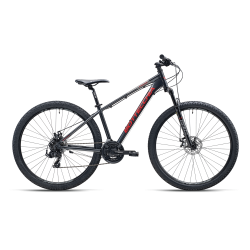 BOTTECCHIA 109